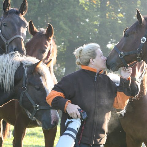 Frau mit sechs braunen Pferden auf Koppel (Foto: SWR, SWR Ortsmarke Saignelégier, Schweiz)