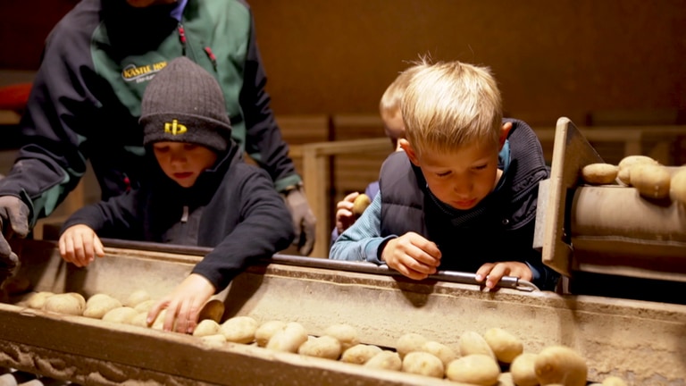 Hofgeschichten Kartoffelsortieren für Kinder (Foto: SWR)