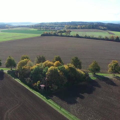 Geislinger Felder von oben (Foto: SWR)