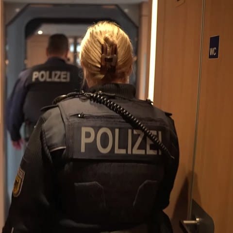 Polizei im Zug