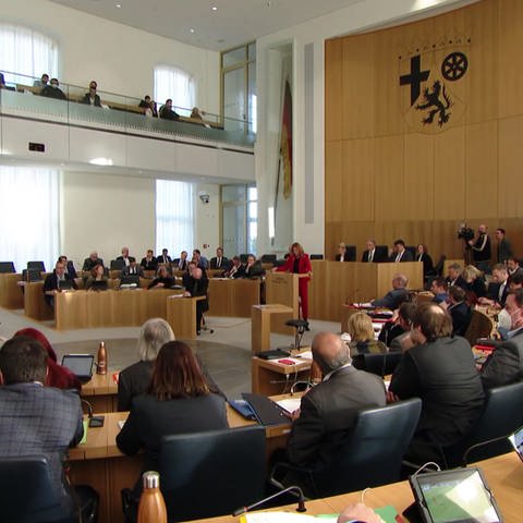 Landtag RP (Foto: SWR)