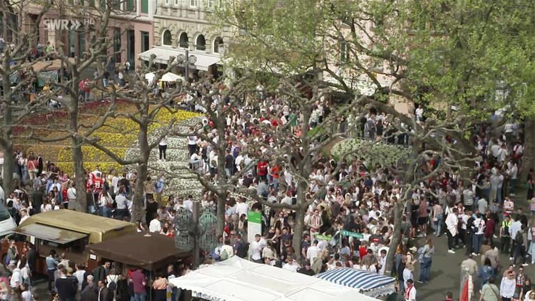 Viele Menschen auf einem Marktplatz (Foto: SWR)