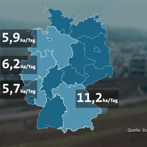 Grafik zum Flächenverbrauch in Deutschland (Foto: SWR)