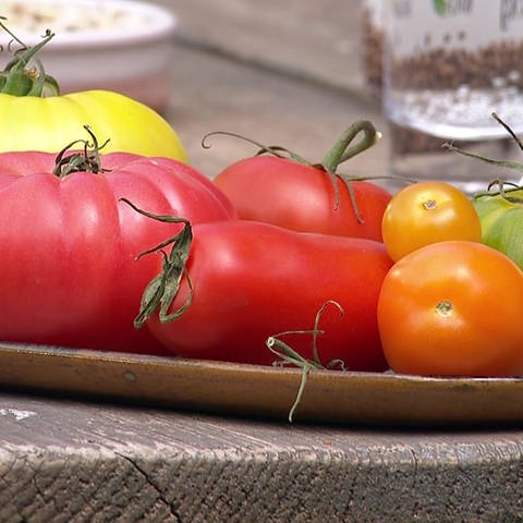 Tomaten (Foto: SWR)