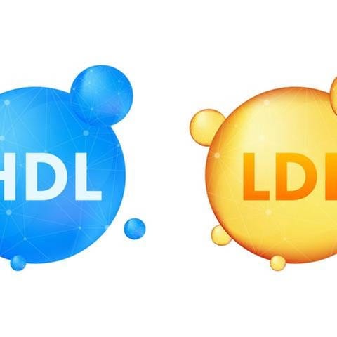 Cholesterin: HDL und LDL
