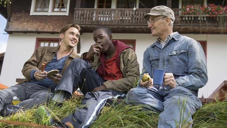 Sebastian, Tayo und Karl sitzen auf einem Anhänger mit frisch gemähtem Gras