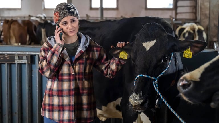 Jenny steht im Stall neben einer Kuh und telefoniert