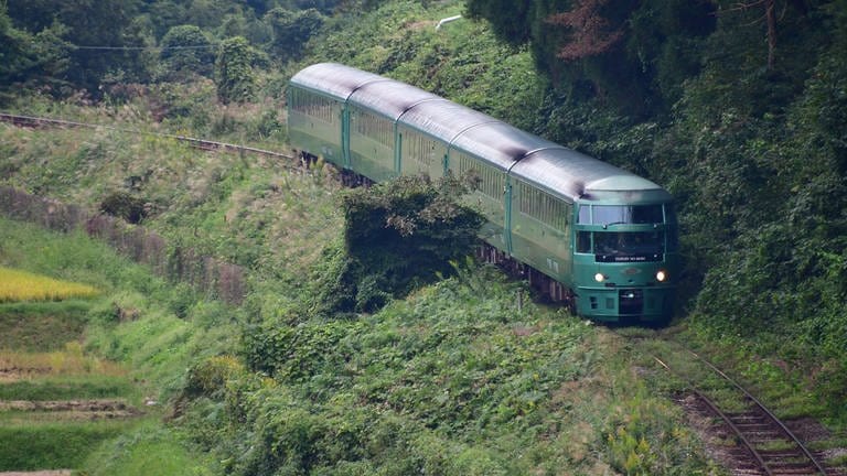 Yufuin no Mori heißt der Wald von Yufuin - die Strecke führt auch lange durch dichte Wälder. Daher wurde der Zug auch grün lackiert.