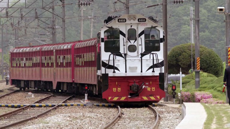 Wir nehmen Platz im „Baby baekho Train"– übersetzt heißt das „Weißer Tiger Zug“.