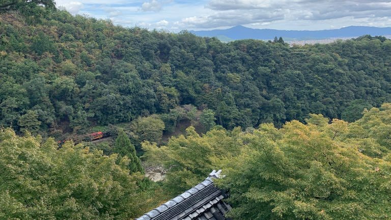 Man ist mitten in der Natur und - kaum zu glauben - auch in der Metropole Kyoto. Der Zug ist links zu entdecken. Die Sagano Railway versteht sich selbst als „Romantic Railway“.