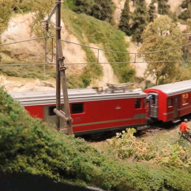 Die rot-orangenen Züge der ÖBB machen sich besonders gut auf der grünen Wachaubahn. (Foto: SWR, Bernhard Foos)
