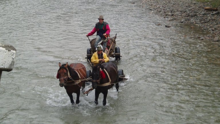 Bauern überqueren den Fluß mit Roß und Wagen