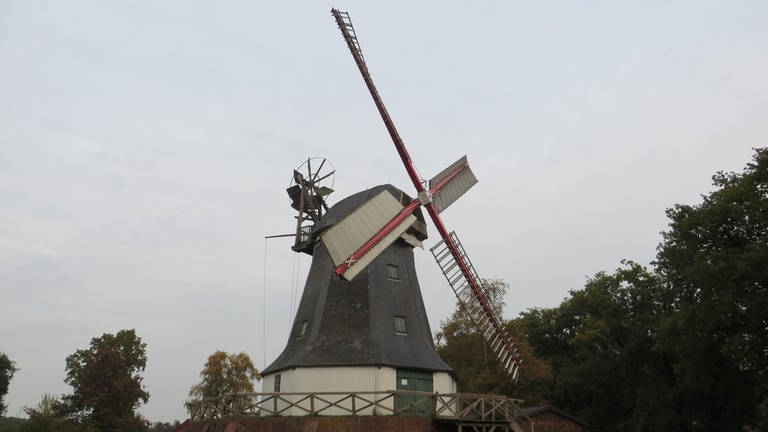 Windmühle in Worpswede, dem Künstlerdorf zwischen Bremen und Stade