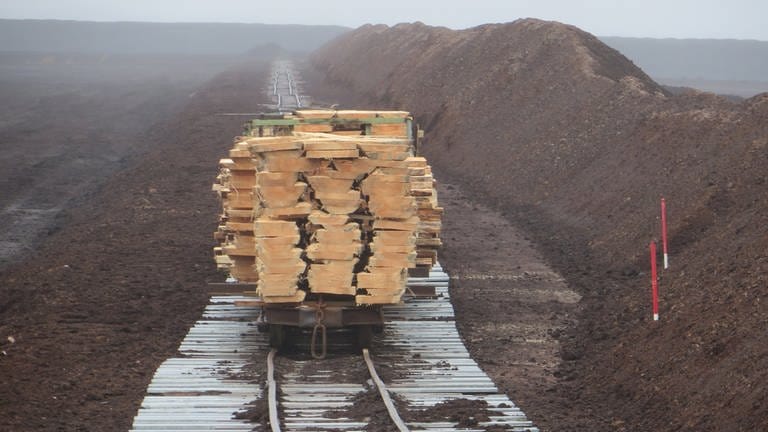 Ein Bauzug mit Holz für den Gleisbau, abgestellt auf einem Nebengleis, das immer tiefer ins Moor hineinführt