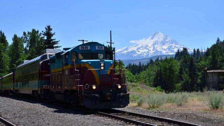 Mount Hood Railroad – der Zug auf der Strecke durch die Wälder an einer Lichtung erscheint im Hintergrund Mount Hood.