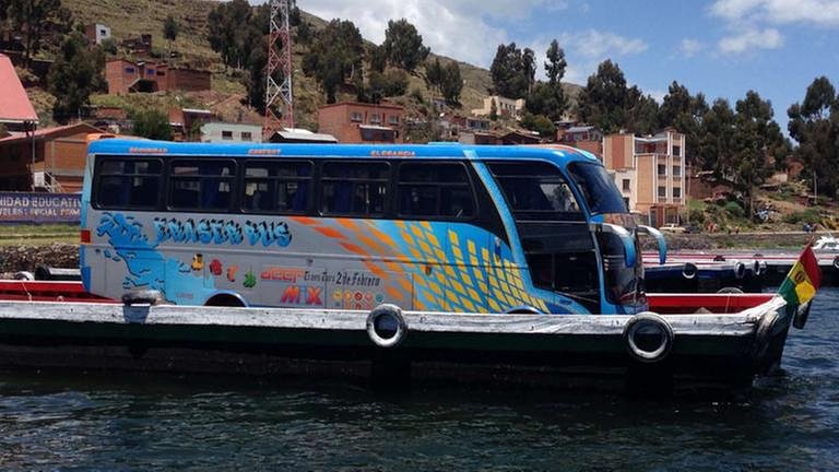 Buskonkurrenz am Titicacasee