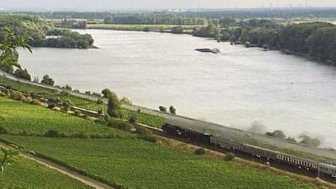 Hier, kurz vor Mainz, verläuft die Route links vom Rhein.