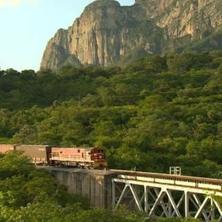 Ein Güterzug fährt über eine Brücke (Foto: SWR, SWR - Michael Mattig-Gerlach)
