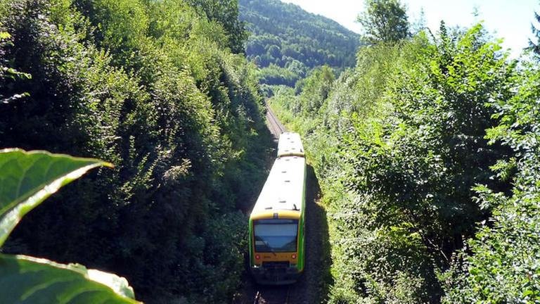 Bayerische Waldbahn beim Aufstieg