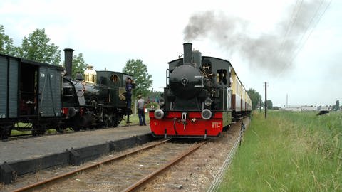 Museums-Dampflokomotiven