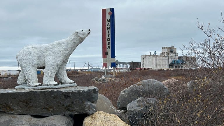 Der Eisbär am Stadtrand mit Blick Richtung Hafen von Churchill ist natürlich nicht echt. 
