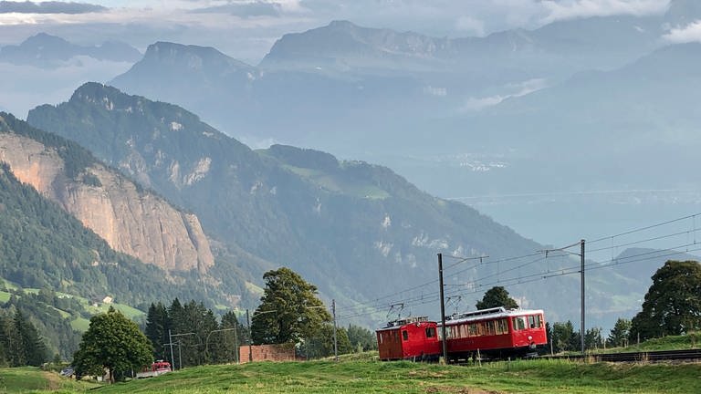 Am Südhang gibt es eine Doppelspur. Der Triebwagen der Vitznau-Rigi-Bahn kann parallel zur Güterzuglok fahren. 