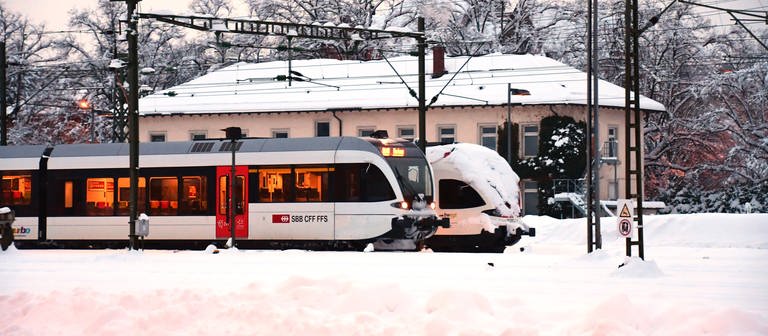 Zwei Züge in Konstanz (Foto: SWR, Harald Kirchner / Winteranfang in Konstanz - Ein Seehas ruht sich hier von den Fahrten zwischen Konstanz, Radolfzell, Singen und Engen aus. Zusammen mit einem Triebwagen des Schweizer Hersteller Stadler.)