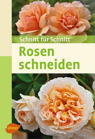Buchcover "Rosen schneiden"