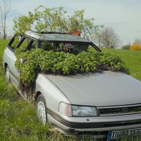 ein altes Auto als Blumenbeet (Foto: SWR)