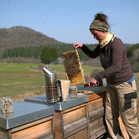 Ein Honigschlecken (Foto: SWR)