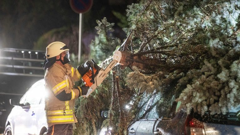 Ein Feuerwehrmann sägt einen Baum ab der auf ein Auto gefallen ist