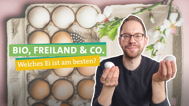 Ökochecker Tobi hält zwei unterschiedliche Eier in der Hand. Er fragt sich, welche Eier aus Umwelt- und Tierwohlsicht die beste Wahl sind.