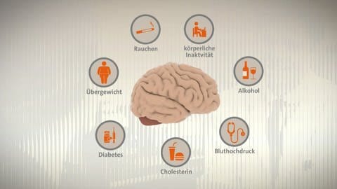 Gehirn mit Grafik: Die Wahrscheinlichkeit an Alzheimer-Demenz zu erkranken, wird durch körperliche Risikofaktoren erhöht.