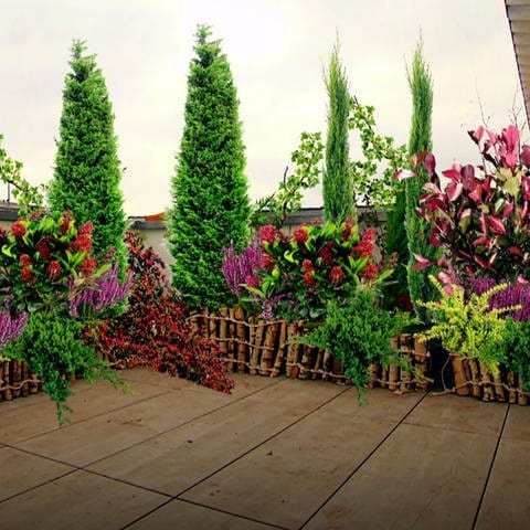 Herbstlicher Balkon mit verschiedenen Pflanzen.