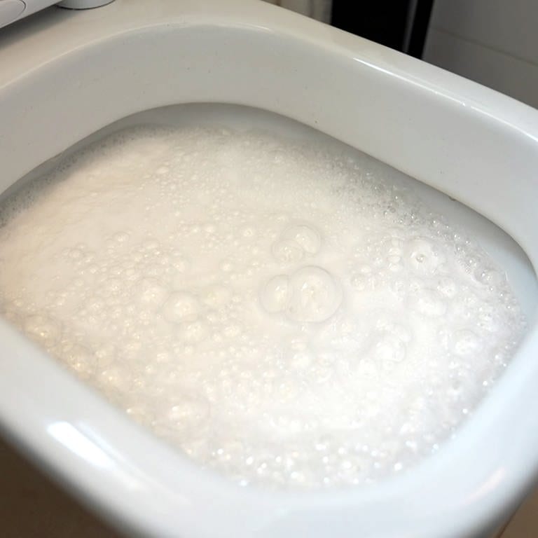 Toilettenreiniger: WC Putzmittel selber machen aus natürlichen Hausmitteln. (Foto: SWR)